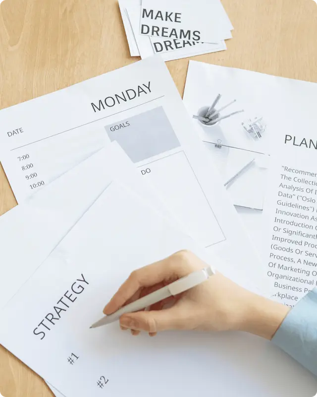 Media and campaign strategy